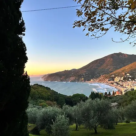 Salty 게스트하우스 레반토